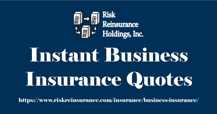 Instant Business Insurance Quotes from Risk Reinsurance Holdings, Inc.